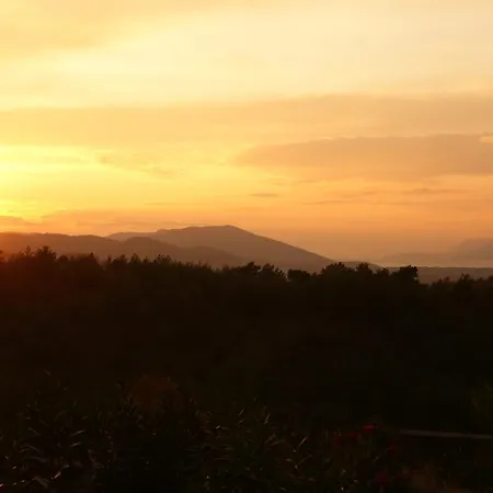 빌라 View *
